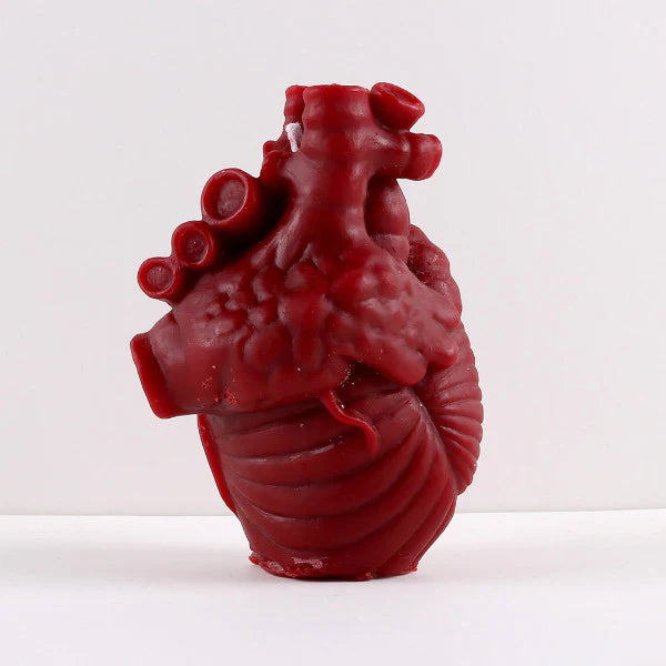 Human Heart Mold